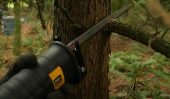 cutting tree limbs with a reciprocating saw