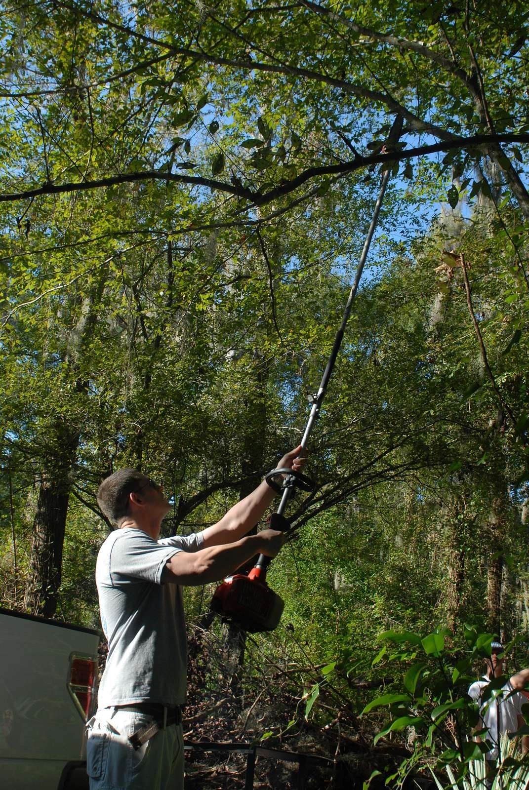 [4 Steps Hack]How To Cut Tree Limbs That Are Too High To Reach