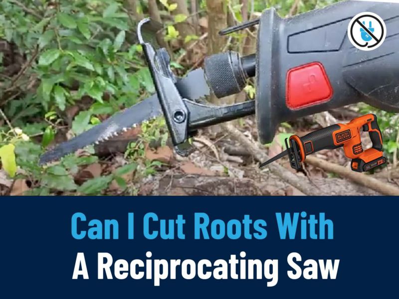 Can I cut roots with a reciprocating saw