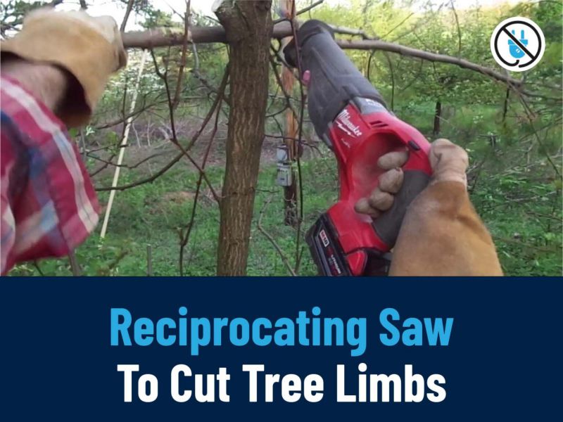 Reciprocating Saw To Cut Tree Limbs